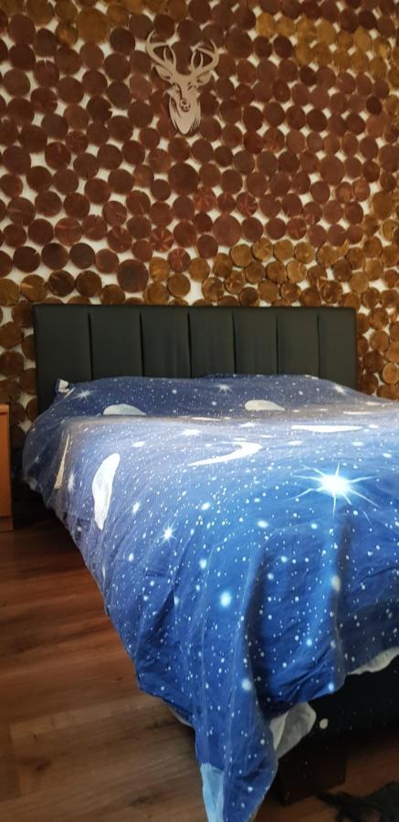 Apartment Straja Lupeni  Екстер'єр фото